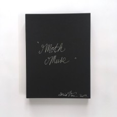 Box - Moth Muse print by Miss Van - May 2019
