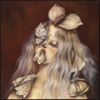 Moth Muse II