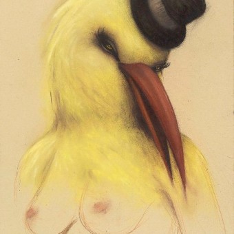 LadyBird