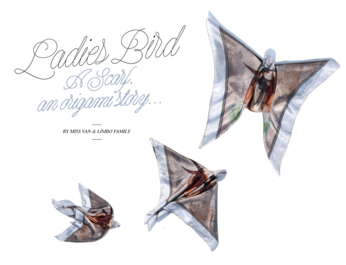 Ladies Bird : An Origami Story